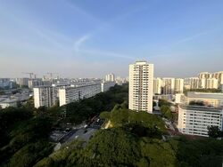 Blk 414 Garden Hill (Bedok), HDB 5 Rooms #598277411